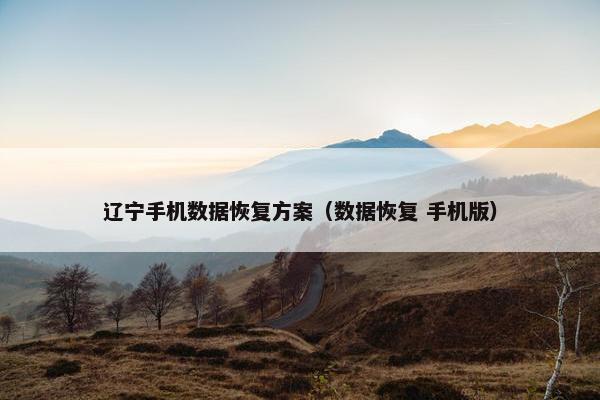 辽宁手机数据恢复方案（数据恢复 手机版）