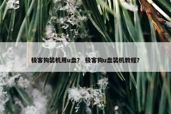极客狗装机用u盘？ 极客狗u盘装机教程？