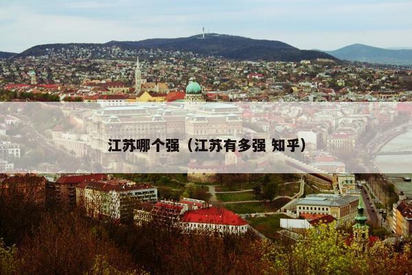 江苏哪个强（江苏有多强 知乎）