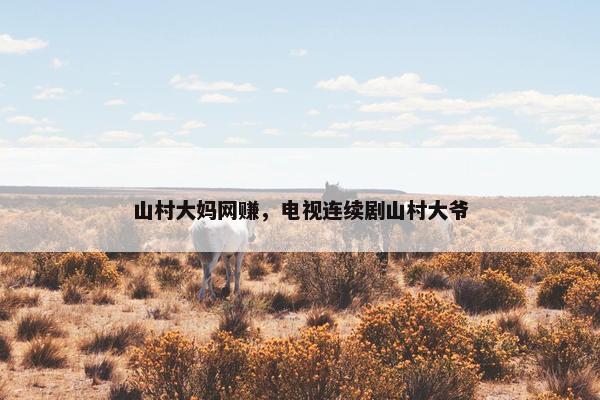 山村大妈网赚，电视连续剧山村大爷