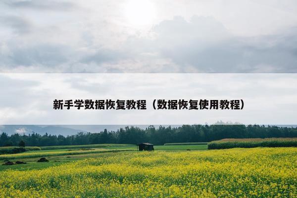 新手学数据恢复教程（数据恢复使用教程）