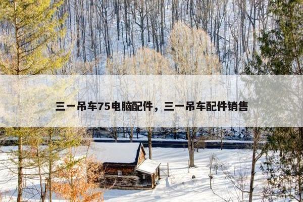 三一吊车75电脑配件，三一吊车配件销售