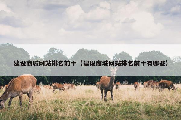 建设商城网站排名前十（建设商城网站排名前十有哪些）