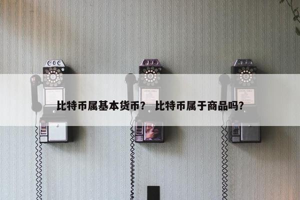 比特币属基本货币？ 比特币属于商品吗？