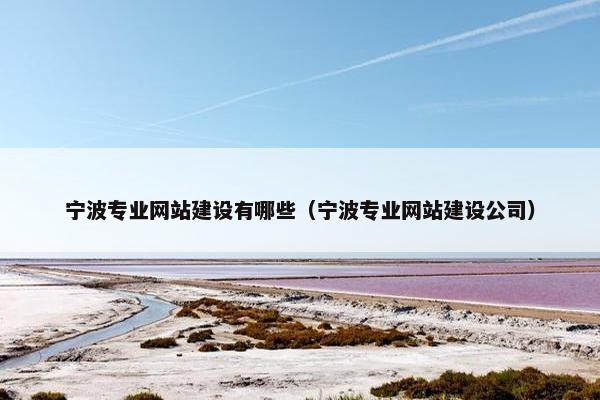 宁波专业网站建设有哪些（宁波专业网站建设公司）