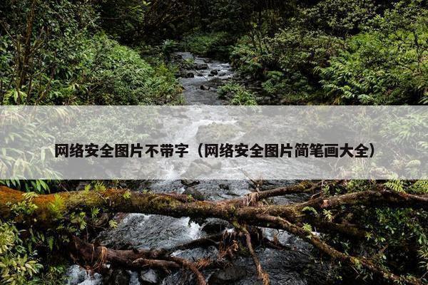 网络安全图片不带字（网络安全图片简笔画大全）