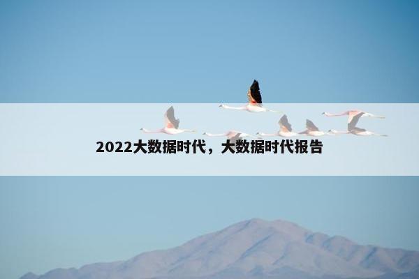 2022大数据时代，大数据时代报告