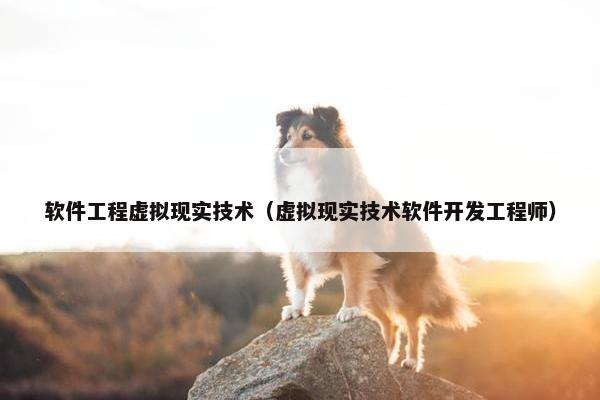 软件工程虚拟现实技术（虚拟现实技术软件开发工程师）