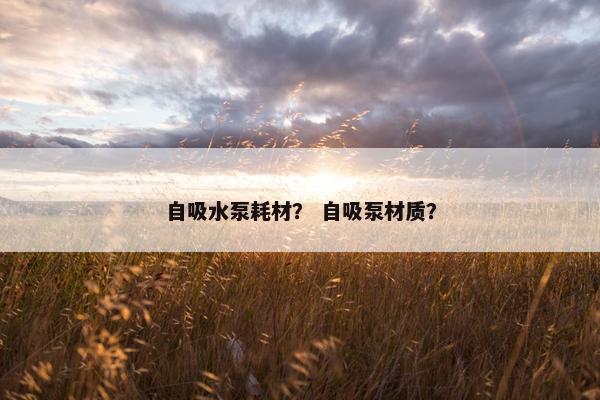 自吸水泵耗材？ 自吸泵材质？