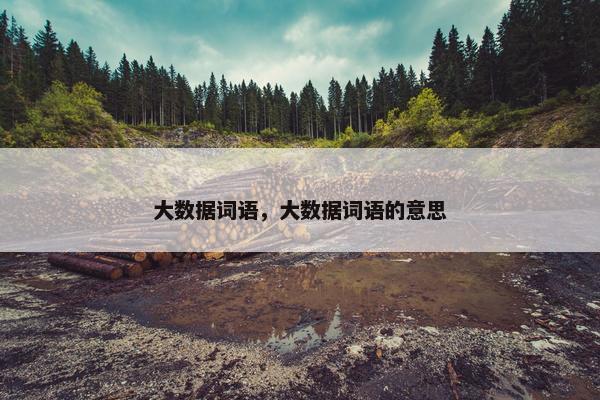 大数据词语，大数据词语的意思