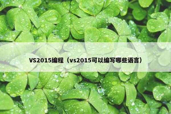VS2015编程（vs2015可以编写哪些语言）