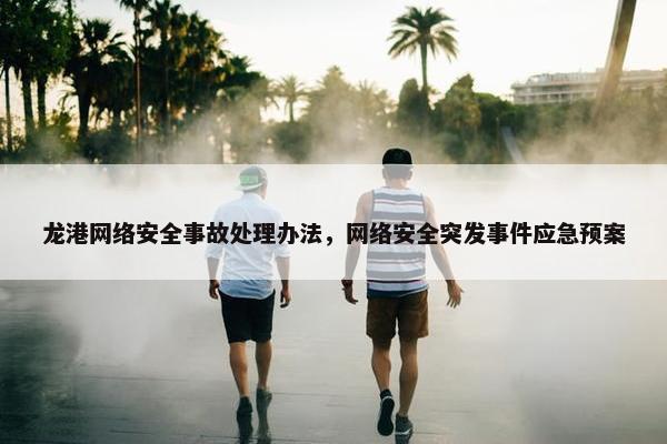 龙港网络安全事故处理办法，网络安全突发事件应急预案
