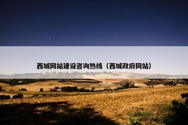 西城网站建设咨询热线（西城政府网站）
