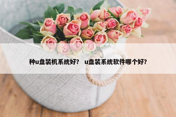 种u盘装机系统好？ u盘装系统软件哪个好？