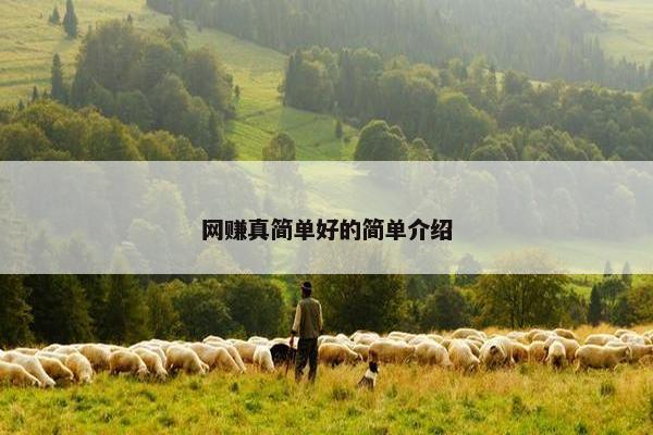 网赚真简单好的简单介绍