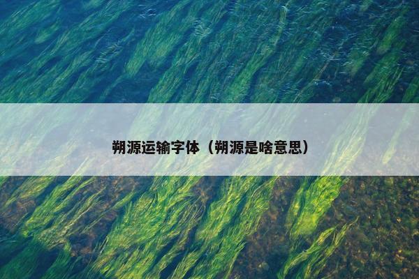 朔源运输字体（朔源是啥意思）