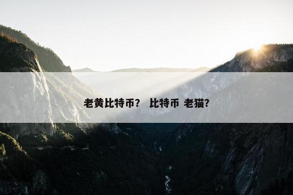 老黄比特币？ 比特币 老猫？
