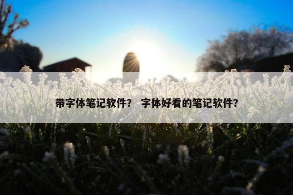 带字体笔记软件？ 字体好看的笔记软件？