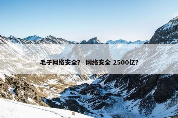 毛子网络安全？ 网络安全 2500亿？