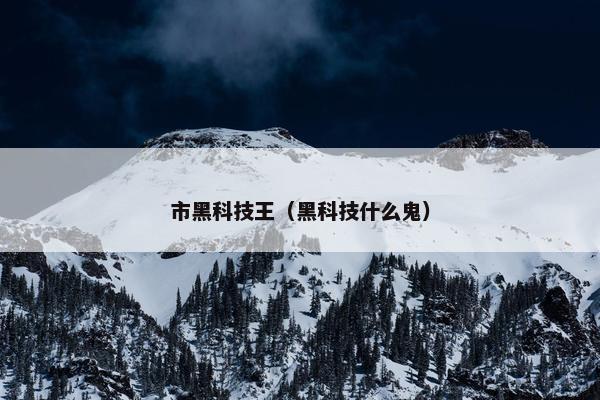 市黑科技王（黑科技什么鬼）