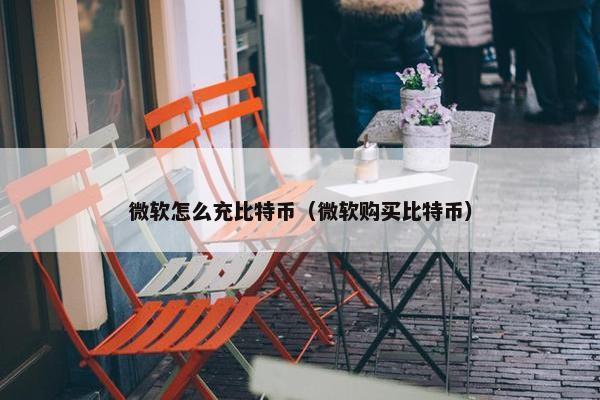 微软怎么充比特币（微软购买比特币）