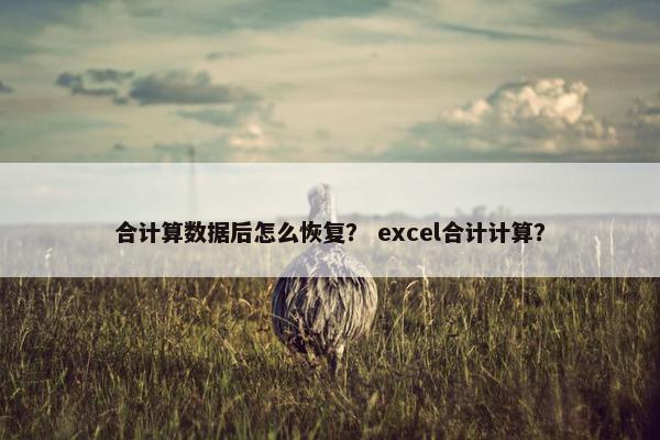 合计算数据后怎么恢复？ excel合计计算？
