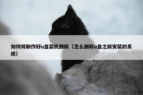 如何将制作好u盘装机删除（怎么删除u盘之前安装的系统）