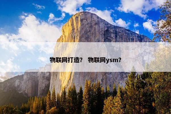 物联网打造？ 物联网ysm？