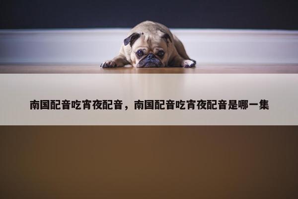 南国配音吃宵夜配音，南国配音吃宵夜配音是哪一集