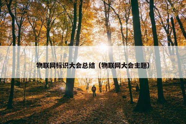 物联网标识大会总结（物联网大会主题）