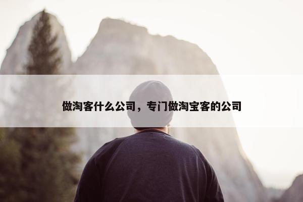 做淘客什么公司，专门做淘宝客的公司