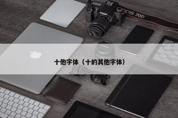 十他字体（十的其他字体）