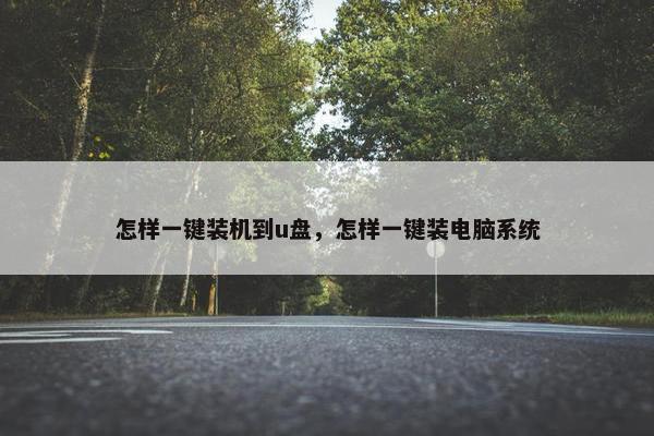 怎样一键装机到u盘，怎样一键装电脑系统