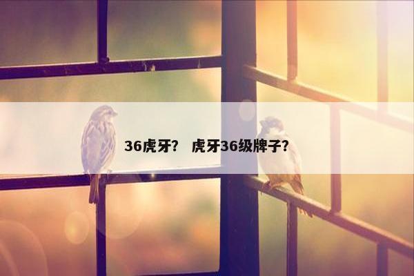 36虎牙？ 虎牙36级牌子？