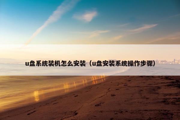 u盘系统装机怎么安装（u盘安装系统操作步骤）
