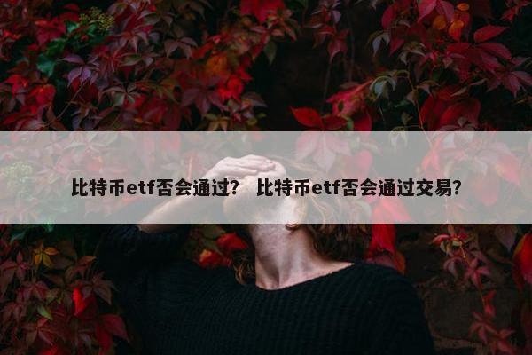 比特币etf否会通过？ 比特币etf否会通过交易？