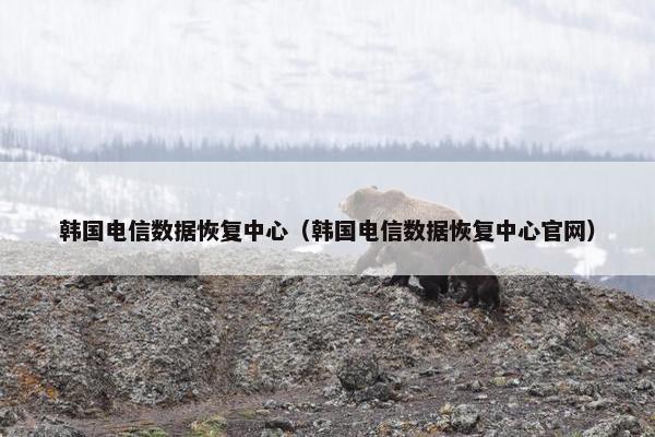 韩国电信数据恢复中心（韩国电信数据恢复中心官网）