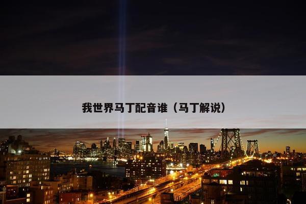 我世界马丁配音谁（马丁解说）