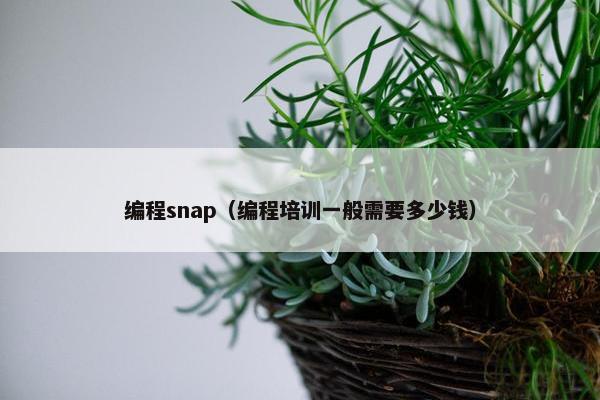编程snap（编程培训一般需要多少钱）
