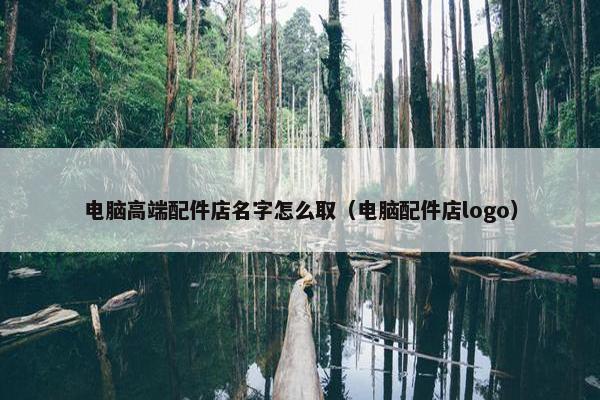 电脑高端配件店名字怎么取（电脑配件店logo）