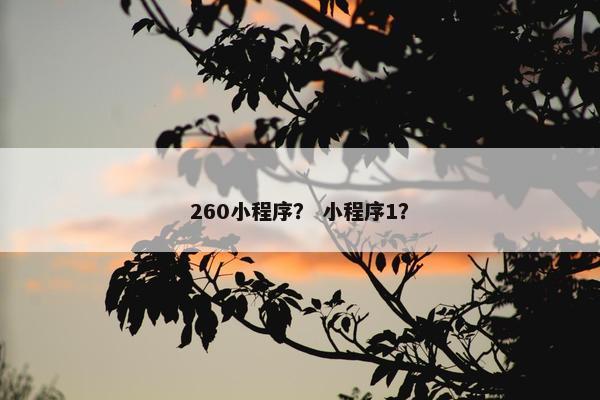 260小程序？ 小程序1？