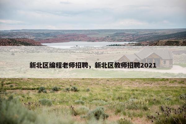新北区编程老师招聘，新北区教师招聘2021