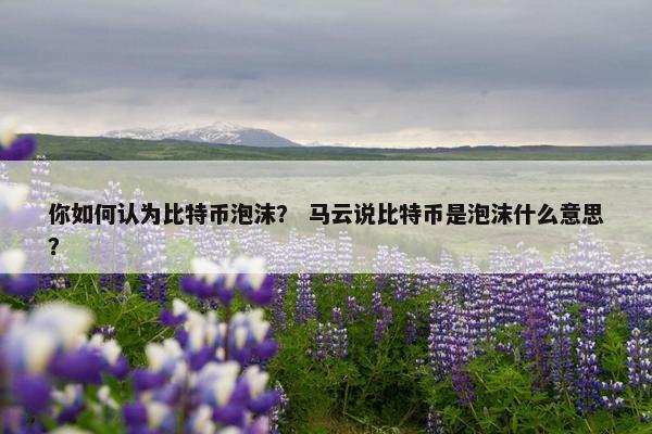 你如何认为比特币泡沫？ 马云说比特币是泡沫什么意思？