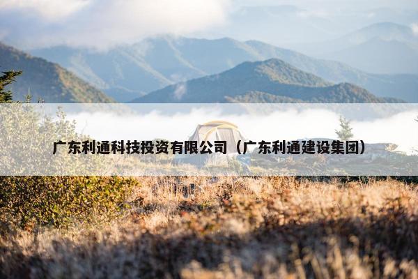 广东利通科技投资有限公司（广东利通建设集团）