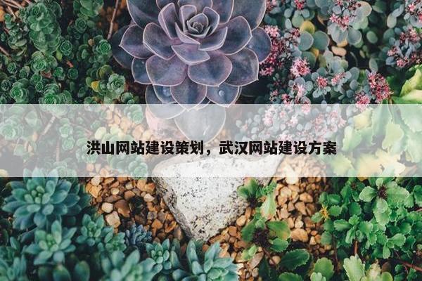 洪山网站建设策划，武汉网站建设方案