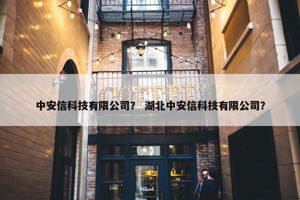 中安信科技有限公司？ 湖北中安信科技有限公司？