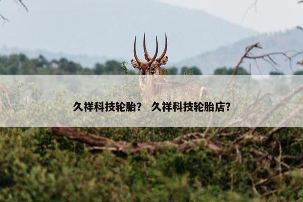 久祥科技轮胎？ 久祥科技轮胎店？