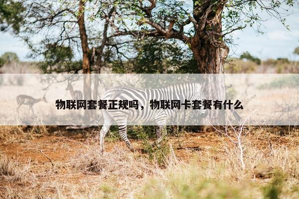物联网套餐正规吗，物联网卡套餐有什么