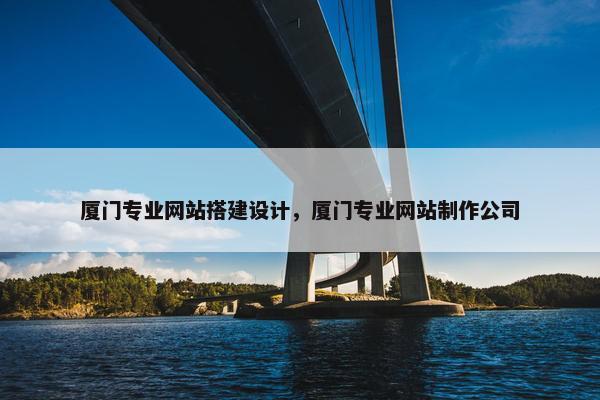 厦门专业网站搭建设计，厦门专业网站制作公司
