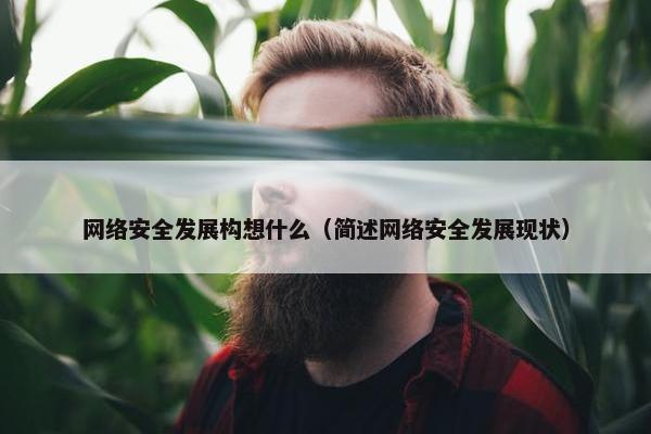 网络安全发展构想什么（简述网络安全发展现状）